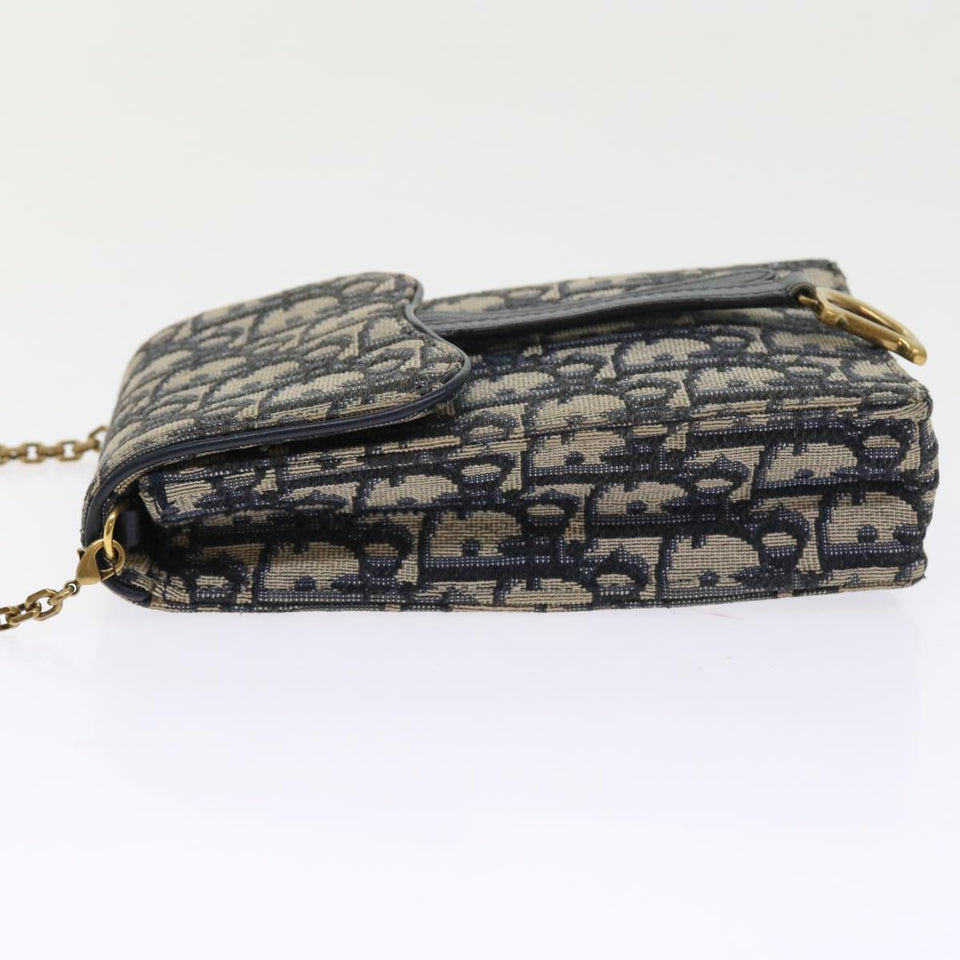 Dior Saddle  Canvas Clutch Bag