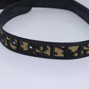 Dior  Canvas Belt