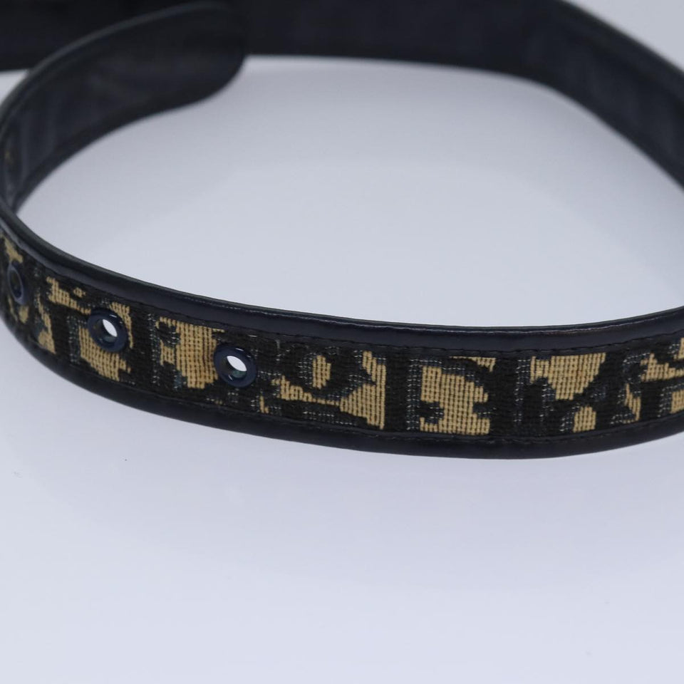 Dior  Canvas Belt