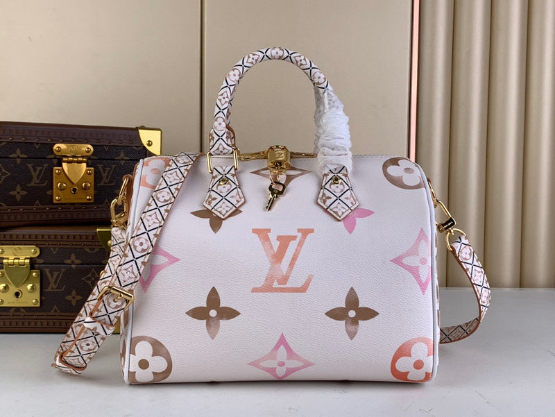 Louis Vuitton Bags