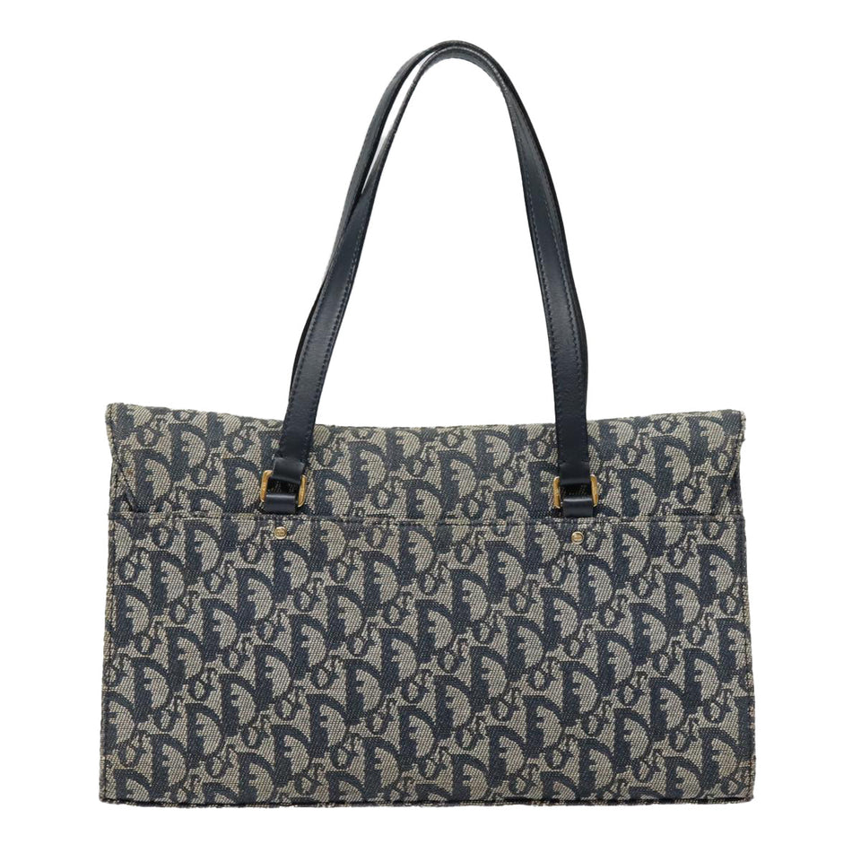 Dior Saddle  Canvas Shoulder Bag