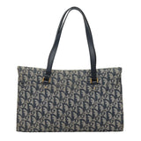 Dior Saddle  Canvas Shoulder Bag