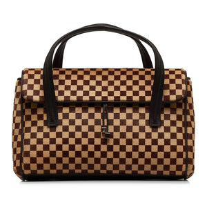 LOUIS VUITTON Damier Sauvage Lionne Handbag
