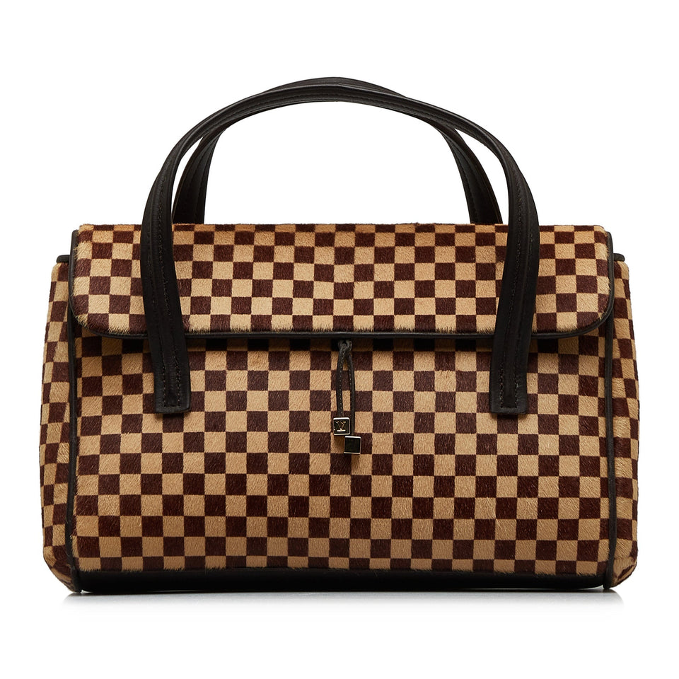 LOUIS VUITTON Damier Sauvage Lionne Handbag