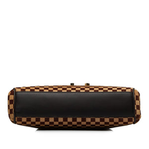 LOUIS VUITTON Damier Sauvage Lionne Handbag