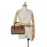 LOUIS VUITTON Damier Sauvage Lionne Handbag
