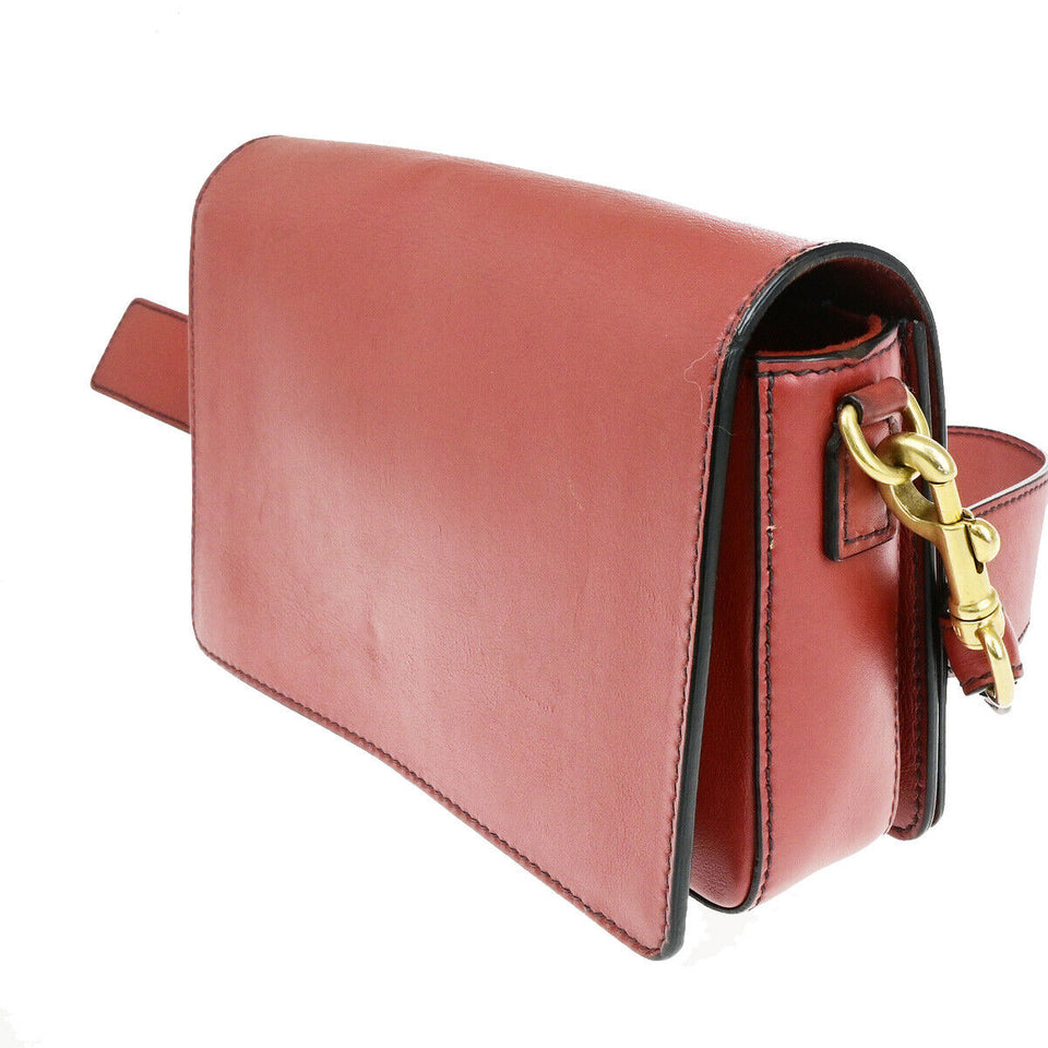 Dior Dio(R)Evolution  Leather Shoulder Bag
