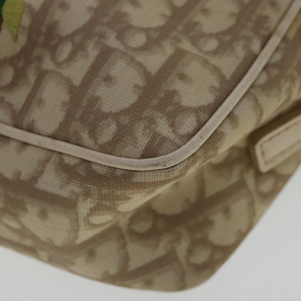 Dior Trotter  Canvas Shoulder Bag