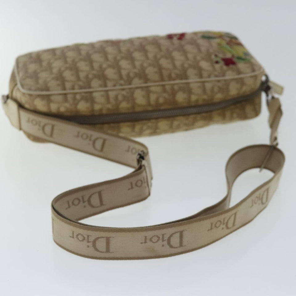 Dior Trotter  Canvas Shoulder Bag
