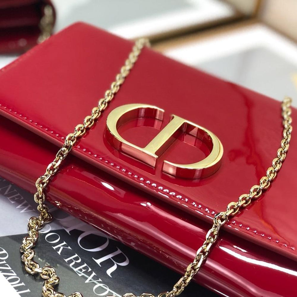 Christian Dior 30 MONTAIGNE POUCH