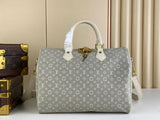 Louis Vuitton Bags