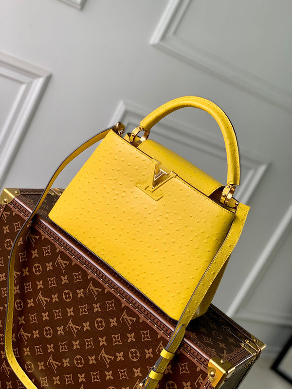 Louis Vuitton Bags