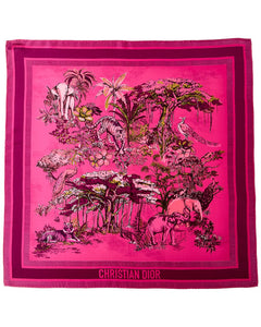 Dior Printed Silk Foulard