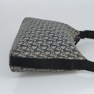 Dior Trotter  Canvas Shoulder Bag