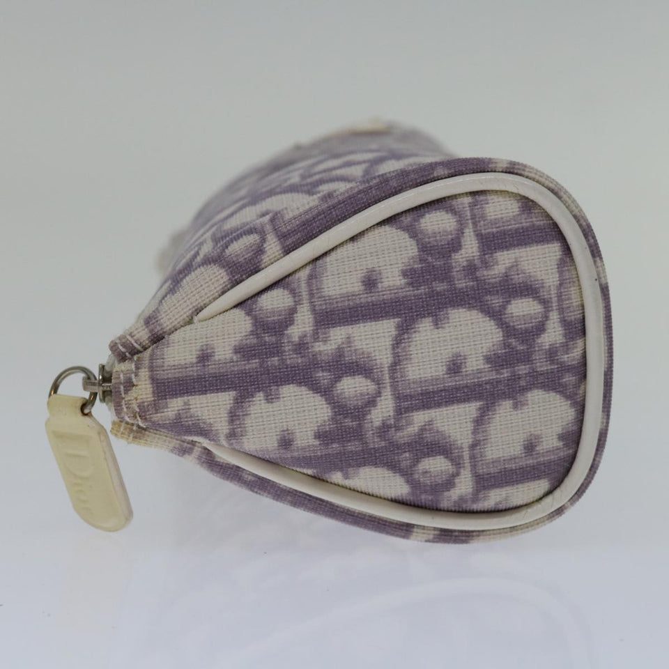 Dior Trotter  Canvas Clutch Bag