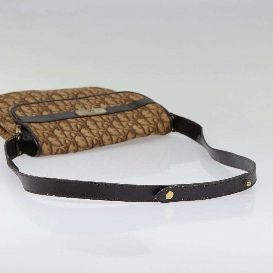 Dior  Canvas Shoulder Bag