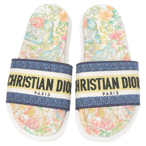 Dior D-Constellation Embroidered Dway 10mm Slides in Multicolor Canvas