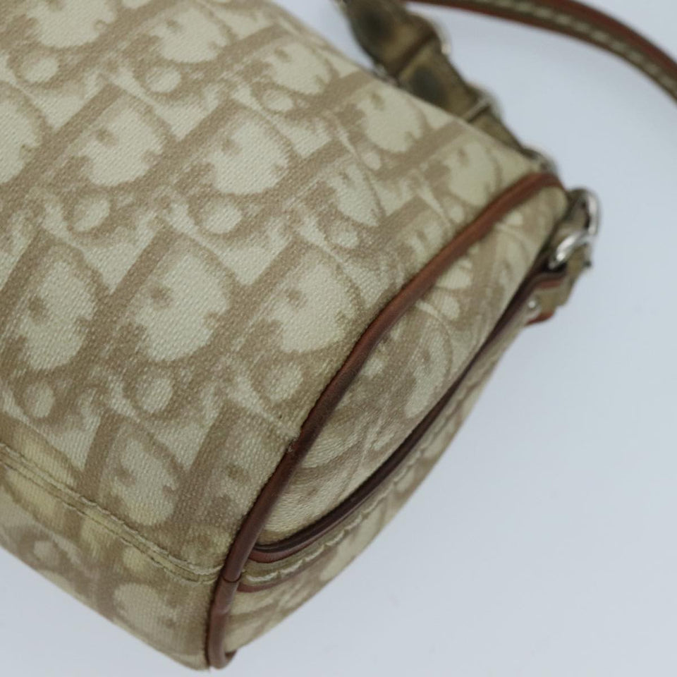 Dior  Canvas Shoulder Bag