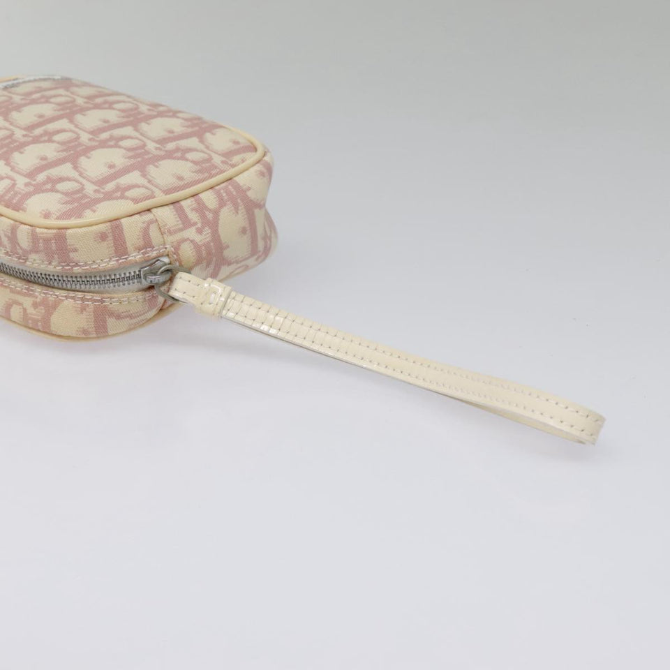 Dior Trotter  Canvas Clutch Bag