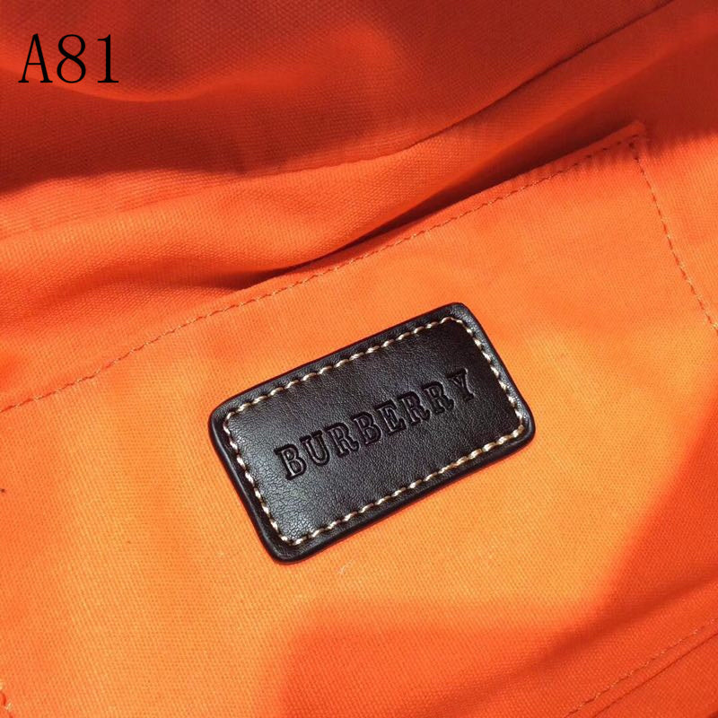 Burberry Bags - Bagsattire   061