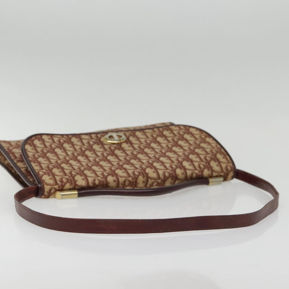 Dior Trotteur  Canvas Shoulder Bag