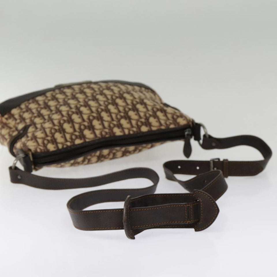 Dior Trotter  Canvas Shoulder Bag