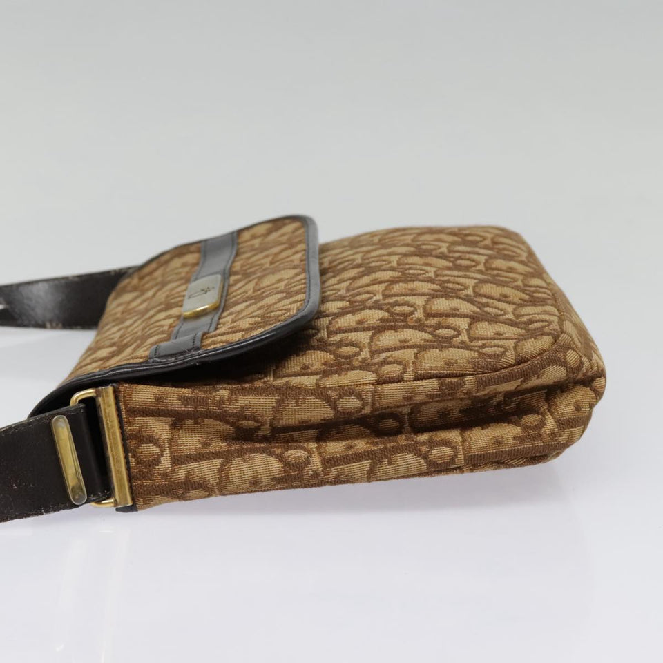Dior  Canvas Shoulder Bag