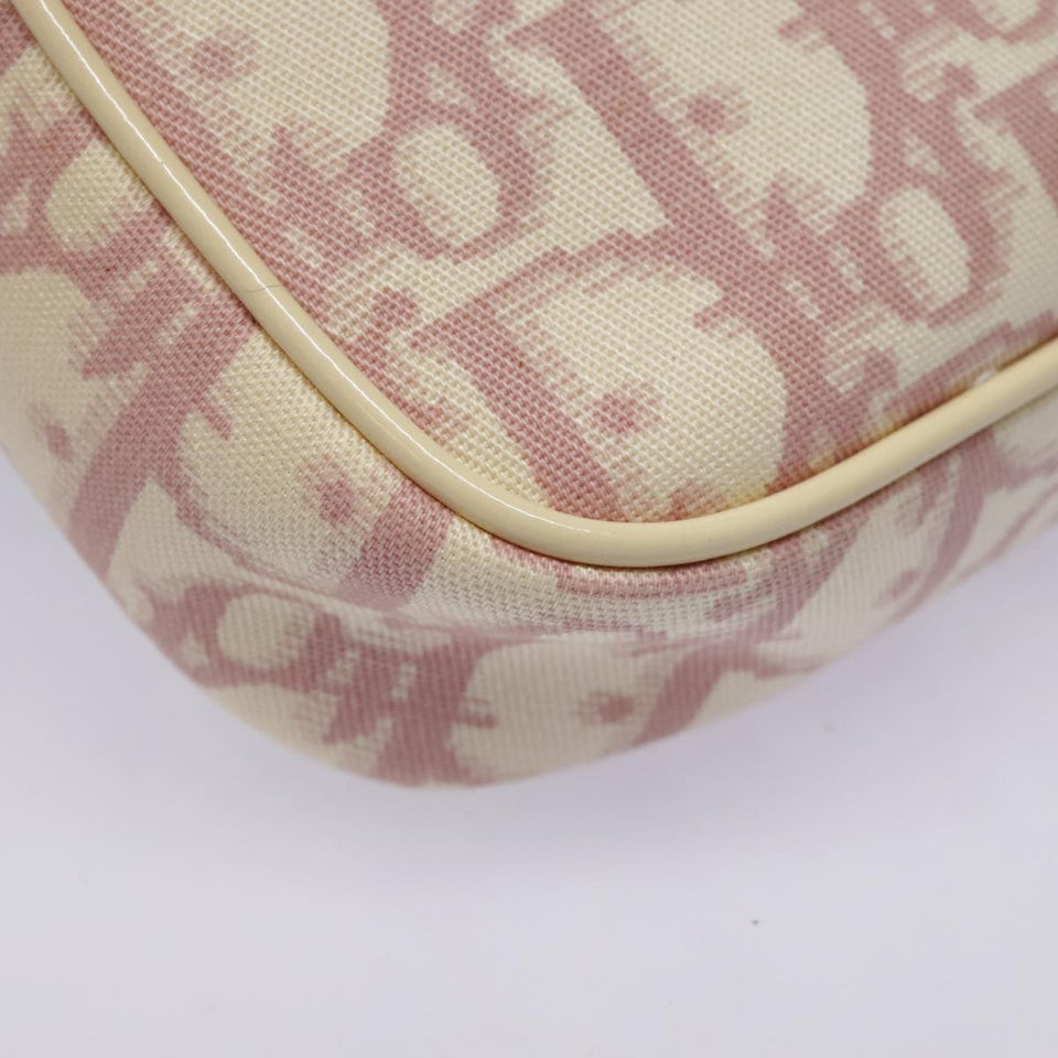 Dior Trotter  Canvas Clutch Bag