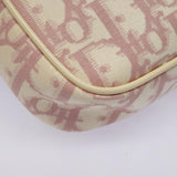 Dior Trotter  Canvas Clutch Bag