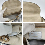 DIOR Christian Lady soft bag in silver leather