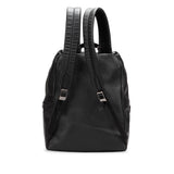 Black Louis Vuitton Taiga Apollo Backpack