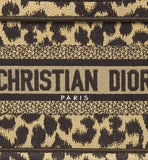 DIOR MINI BOOK TOTE