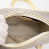 Christian Dior mini grey canvas handbag TSW pop