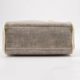 Christian Dior mini grey canvas handbag TSW pop