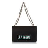 Dior JaDior Chain Leather Flap Bag (SHG-cREInI)