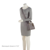 Dior Lambskin My ABCDior Small Lady Dior Tote (SHF-M3kW71)