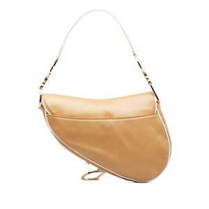 Dior Leather Saddle (SHG-esAyuU)