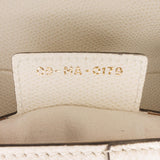 Dior Leather Saddle (SHG-SkxchI)