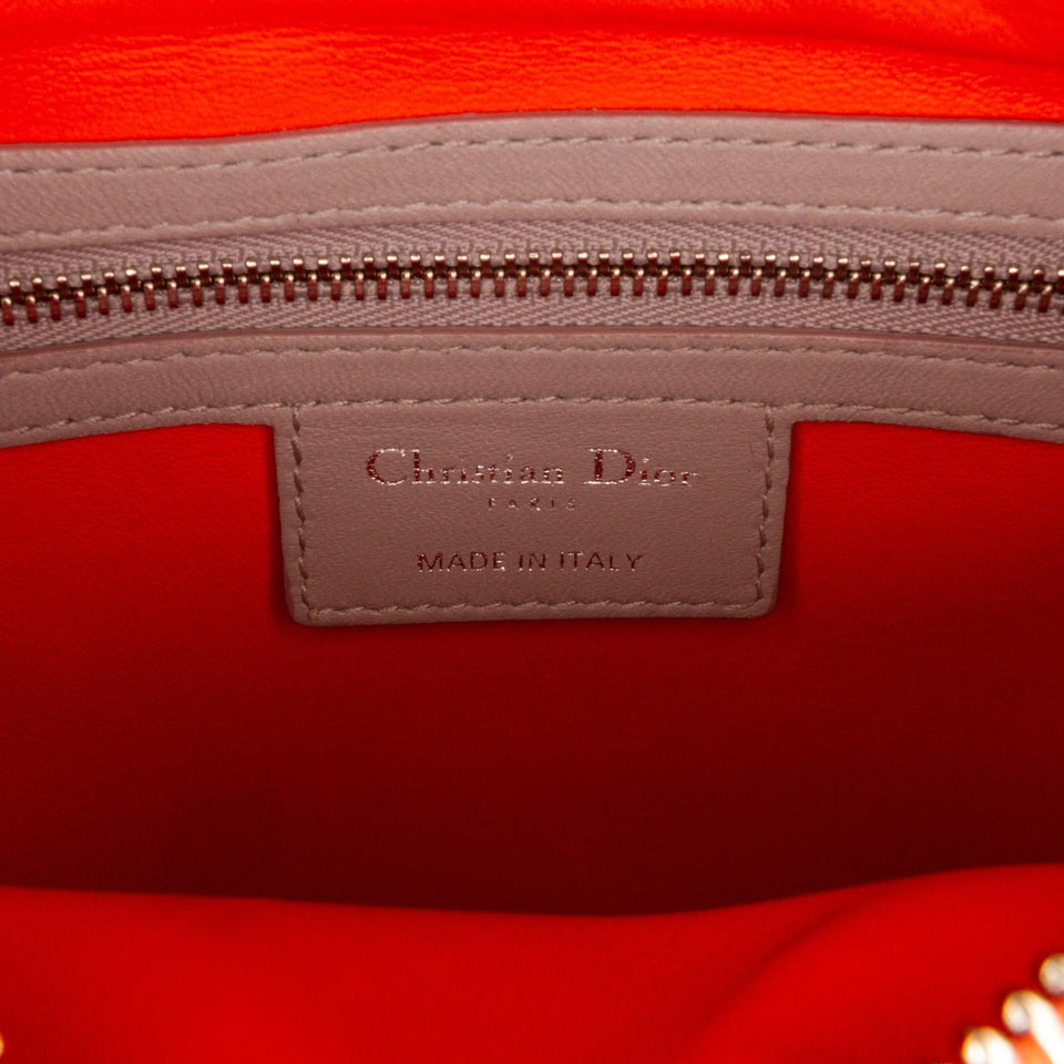 Dior Medium Cannage Lady Dior Tricolor (SHG-e3O6dL)