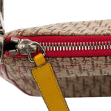 Dior Rasta Saddle Shoulder Bag (SHG-FmLTcV)