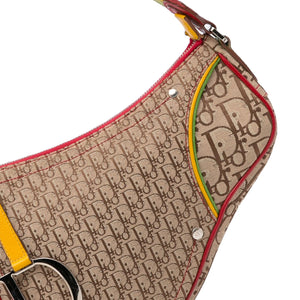 Dior Rasta Saddle Shoulder Bag (SHG-FmLTcV)