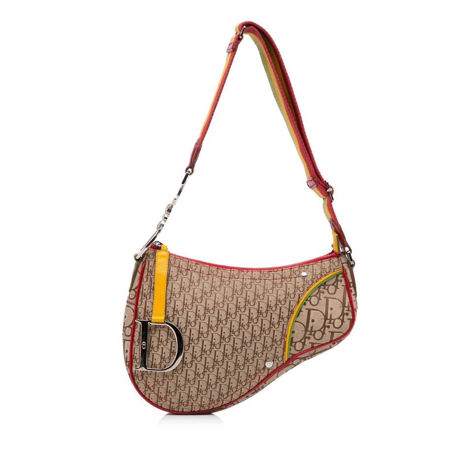 Dior Rasta Saddle Shoulder Bag (SHG-FmLTcV)