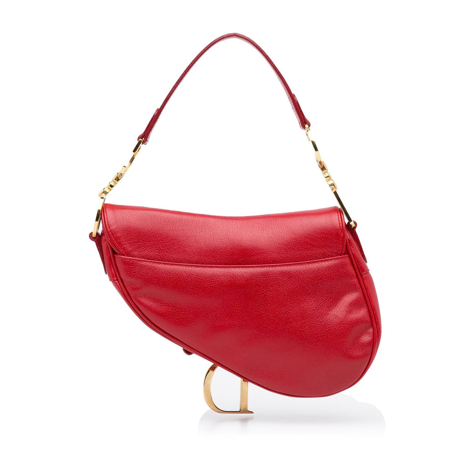 Dior Saddle Baguette (SHG-EvXDcW)