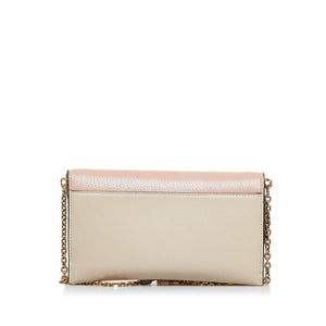 Dior Saddle Wallet On Chain (SHG-VI0q1N)