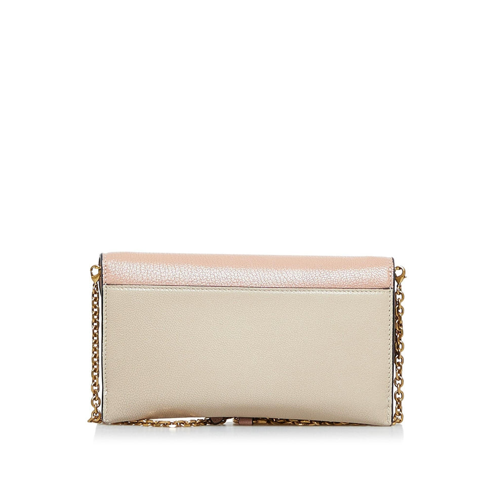 Dior Saddle Wallet On Chain (SHG-VI0q1N)