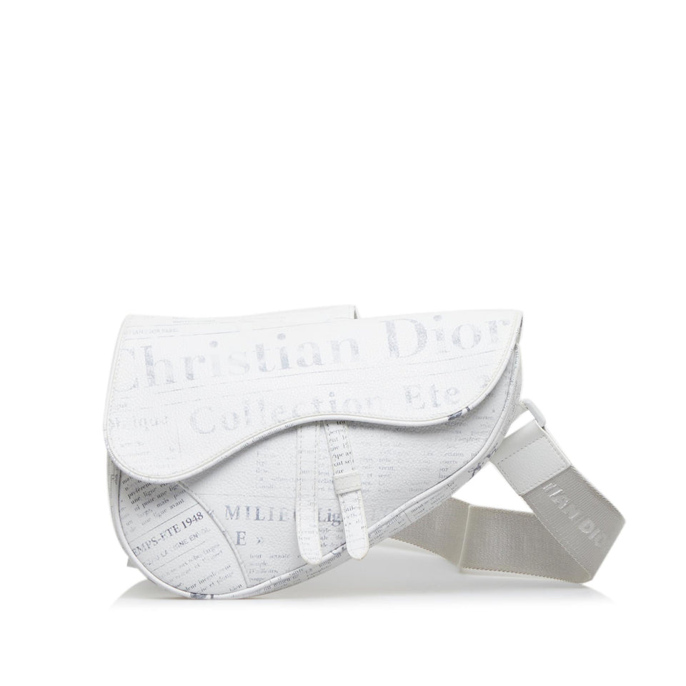 Dior x Daniel Arsham Saddle (SHG-orL7Q6)