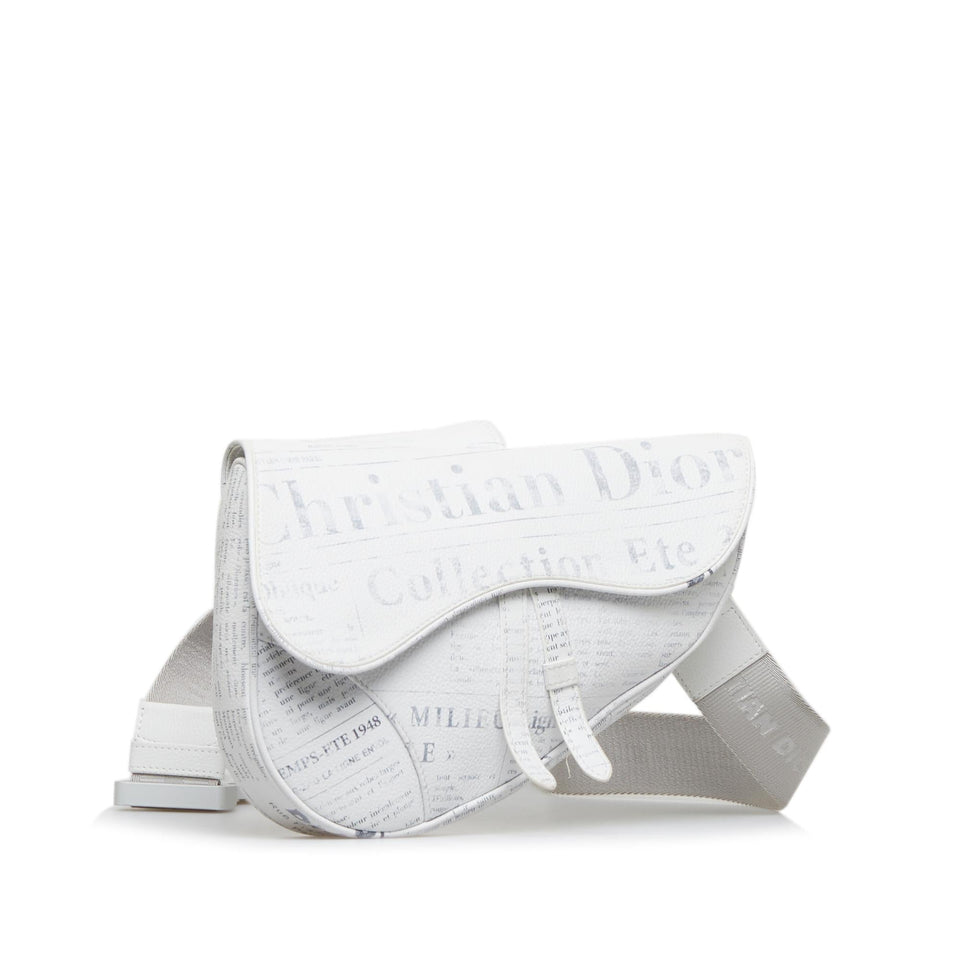 Dior x Daniel Arsham Saddle (SHG-orL7Q6)