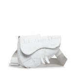 Dior x Daniel Arsham Saddle (SHG-orL7Q6)