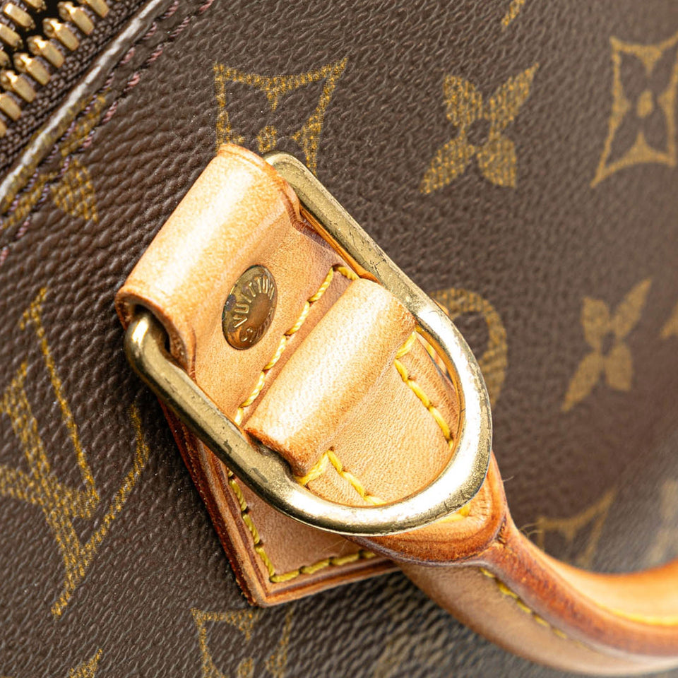 Brown Louis Vuitton Monogram Alma PM Handbag