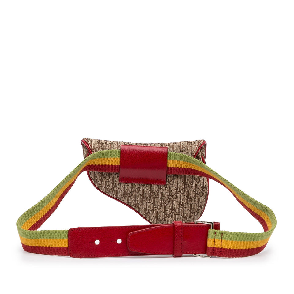 Dior Saddle Rasta Belt Bag Brown Oblique Canvas